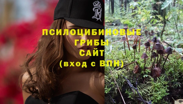 дживик Бронницы