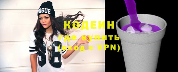 дживик Бронницы