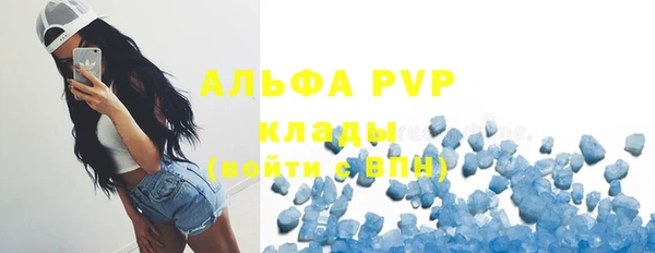 дживик Бронницы