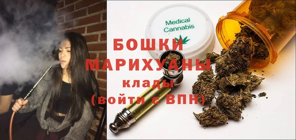 дживик Бронницы