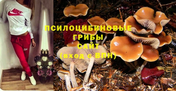 дживик Бронницы