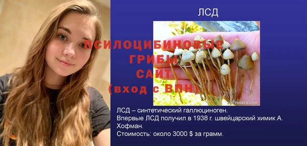 альфа пвп Бородино