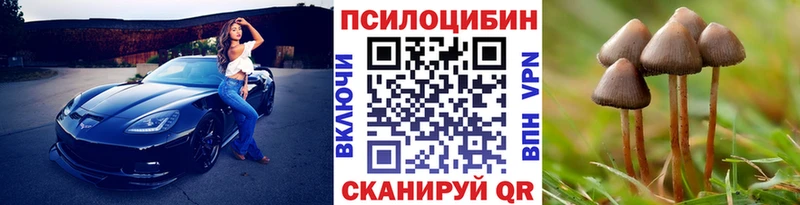 blacksprut маркетплейс  Морозовск  Галлюциногенные грибы ЛСД 